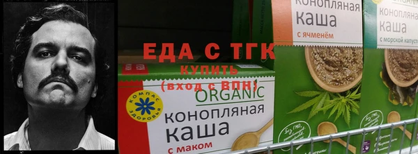 хмурый Нефтекумск