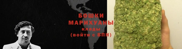 хмурый Нефтекумск