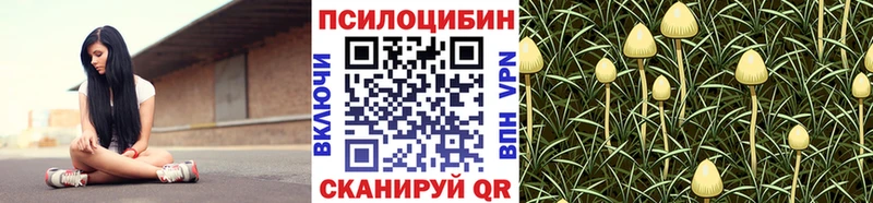 Псилоцибиновые грибы прущие грибы  Монино 